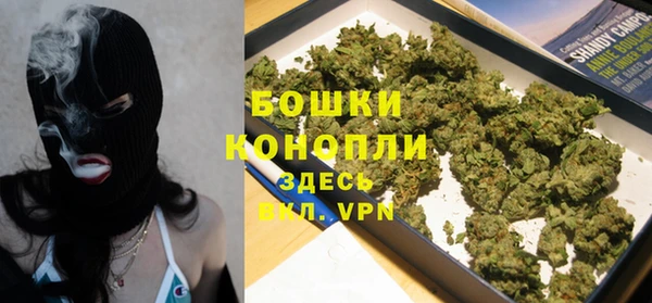 сатива Лихославль