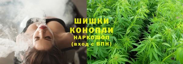 сатива Лихославль