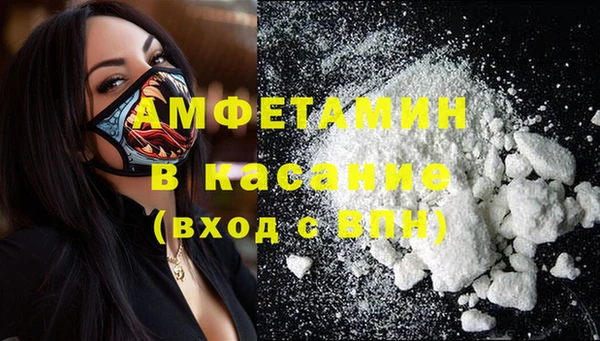 сатива Лихославль