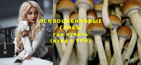 прущий лед Магас